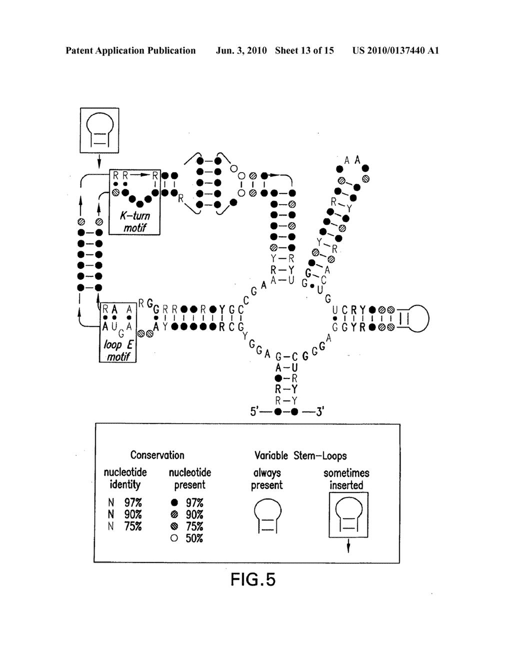 LYSINE RIBOSWITCHES, STRUCTURE-BASED COMPOUND DESIGN WITH LYSINE RIBOSWITCHES, AND METHODS AND COMPOSITIONS FOR USE OF AND WITH LYSINE RIBOSWITCHES - diagram, schematic, and image 14