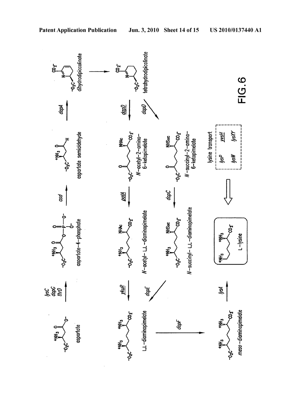 LYSINE RIBOSWITCHES, STRUCTURE-BASED COMPOUND DESIGN WITH LYSINE RIBOSWITCHES, AND METHODS AND COMPOSITIONS FOR USE OF AND WITH LYSINE RIBOSWITCHES - diagram, schematic, and image 15