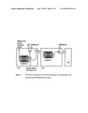 VAGINAL ODORANTS diagram and image