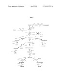 PROCESS FOR THE BIOLOGICAL PRODUCTION OF 1,3-PROPANEDIOL FROM GLYCEROL WITH HIGH YIELD diagram and image