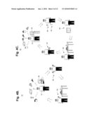 SYSTEM AND METHOD FOR GENERATING A PERSONALIZED DIABETES MANAGEMENT TOOL FOR DIABETES MELLITUS diagram and image