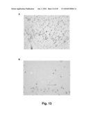 TRANSGENIC PIG AS A MODEL OF ALZHEIMER S DISEASE diagram and image