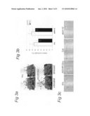 USE OF PLANT CHROMATIN REMODELING GENES FOR MODULATING PLANT ARCHITECTURE AND GROWTH diagram and image