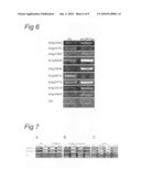 USE OF PLANT CHROMATIN REMODELING GENES FOR MODULATING PLANT ARCHITECTURE AND GROWTH diagram and image