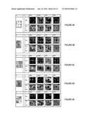 SYSTEMS AND METHODS FOR REAL TIME MULTISPECTRAL IMAGING diagram and image