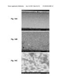 IONIC POLYMER DEVICES AND METHODS OF FABRICATING THE SAME diagram and image