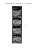 Organic electro-luminescence device diagram and image