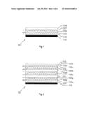 ELECTRONIC SKIN READER diagram and image