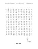 MULTI-STATE BEAMFORMING ARRAY diagram and image