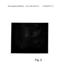 Method and Device for Evaluating Fluorescence Image Records diagram and image