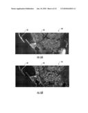 IMAGE PROCESSING DEVICE FOR TONAL BALANCING OF MOSAIC IMAGES AND RELATED METHODS diagram and image