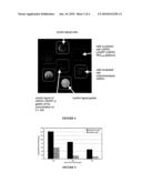 COMPOUNDS FOR THE DIAGNOSIS OF APOPTOSIS diagram and image