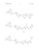 COMPOUNDS FOR THE DIAGNOSIS OF APOPTOSIS diagram and image