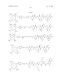 COMPOUNDS FOR THE DIAGNOSIS OF APOPTOSIS diagram and image