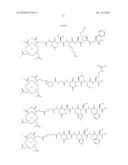 COMPOUNDS FOR THE DIAGNOSIS OF APOPTOSIS diagram and image