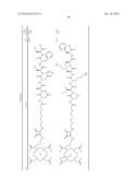 COMPOUNDS FOR THE DIAGNOSIS OF APOPTOSIS diagram and image