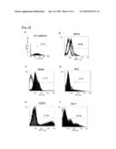 ANTICANCER THERAPY BY TRANSPLANTING VASCULAR ENDOTHELIAL PROGENITOR CELLS diagram and image