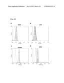 ANTICANCER THERAPY BY TRANSPLANTING VASCULAR ENDOTHELIAL PROGENITOR CELLS diagram and image