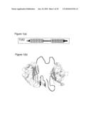 TOLL-LIKE RECEPTOR BINDING EPITOPE AND COMPOSITIONS FOR BINDING THERETO diagram and image