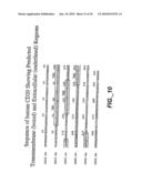 COMBINATION THERAPY FOR B CELL DISORDERS diagram and image