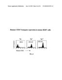 COMBINATION THERAPY FOR B CELL DISORDERS diagram and image