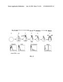 COMBINATION THERAPY FOR B CELL DISORDERS diagram and image