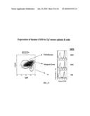 COMBINATION THERAPY FOR B CELL DISORDERS diagram and image