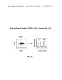 COMBINATION THERAPY FOR B CELL DISORDERS diagram and image