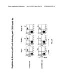 COMBINATION THERAPY FOR B CELL DISORDERS diagram and image