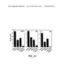 COMBINATION THERAPY FOR B CELL DISORDERS diagram and image