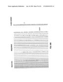 COMBINATION THERAPY FOR B CELL DISORDERS diagram and image