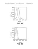 CD161 LIGAND, PILAR, FOR MODULATING ACTIVATION AND PROLIFERATION OF T CELLS diagram and image