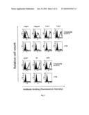 NOVEL ANTI-CD98 ANTIBODY diagram and image