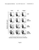 NOVEL ANTI-CD98 ANTIBODY diagram and image