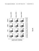 NOVEL ANTI-CD98 ANTIBODY diagram and image