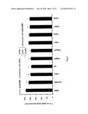 NOVEL ANTI-CD98 ANTIBODY diagram and image