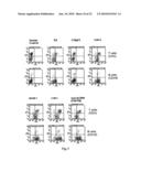 NOVEL ANTI-CD98 ANTIBODY diagram and image