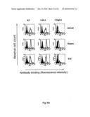 NOVEL ANTI-CD98 ANTIBODY diagram and image