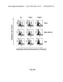 NOVEL ANTI-CD98 ANTIBODY diagram and image