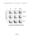 NOVEL ANTI-CD98 ANTIBODY diagram and image