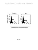 NOVEL ANTI-CD98 ANTIBODY diagram and image