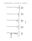 NOVEL ANTI-CD98 ANTIBODY diagram and image