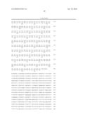 NOVEL ANTI-CD98 ANTIBODY diagram and image