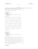 NOVEL ANTI-CD98 ANTIBODY diagram and image