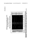 METHODS OF TREATING SYSTEMIC LUPUS ERYTHEMATOSUS diagram and image