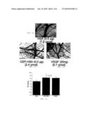 COMPOSITIONS AND METHODS FOR MACULAR DEGENERATION diagram and image