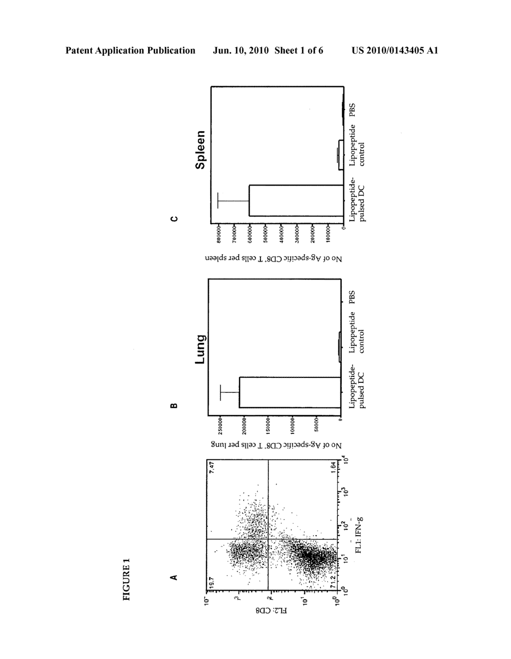 Immunotherapy of virus infection - diagram, schematic, and image 02