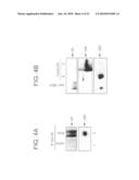 Generation of virus-like particles and use as panfilovirus vaccines diagram and image