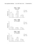 Generation of virus-like particles and use as panfilovirus vaccines diagram and image