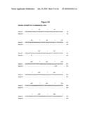 BASB027 PROTEINS AND GENES FROM MORAXELLA CATARRHALIS, ANTIGENS, ANTIBODIES, AND USES diagram and image